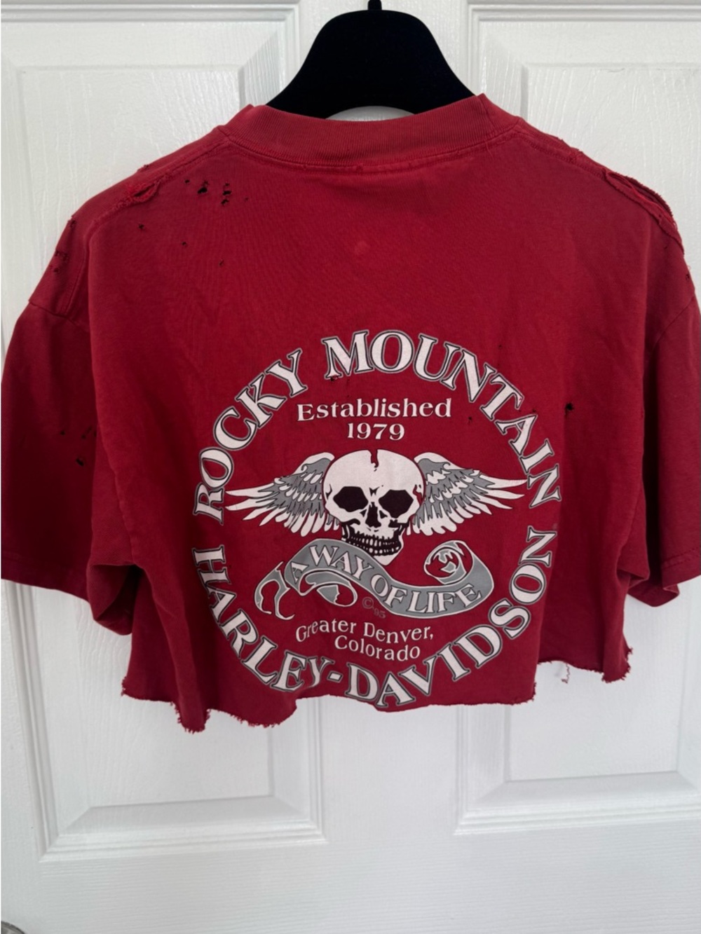 Unique Burgundy Harley-Davidson Graphic Cropped Tee